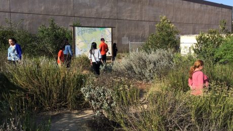 Students explore Leo Politi Elementary’s schoolyard habitat near downtown Los Angeles (photo courtesy of Angie Horn/National Wildlife Refuge Association).