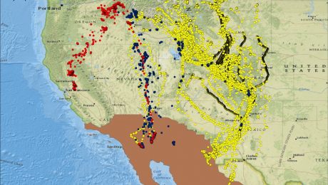 Distribution of the three Western Greater Sandhill Crane populations (Central Valley Population in red; the Lower Colorado River Valley Population in blue; Rocky Mountain Population in yellow) based on marked cranes (Map by USWFS).