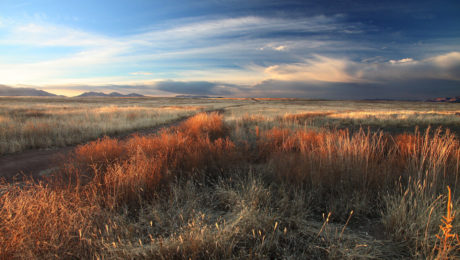 San Rafael Valley Grasslands by Alan Schmierer