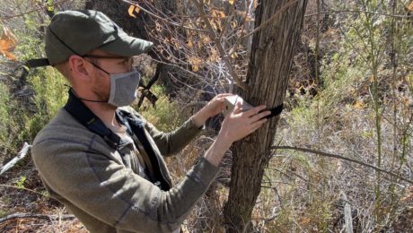 Biologist Jerry Cole installs an ARU at a target area for bird monitoring (photo courtesy of The Institute for Bird Populations).  